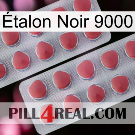 Étalon Noir 9000 19